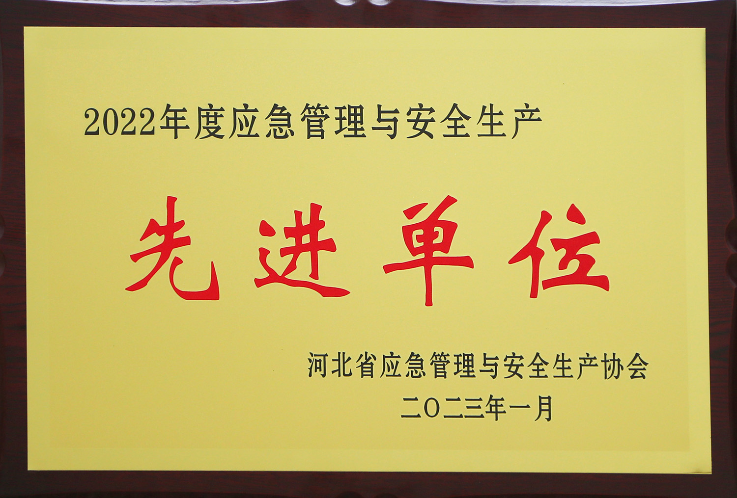 先进单元