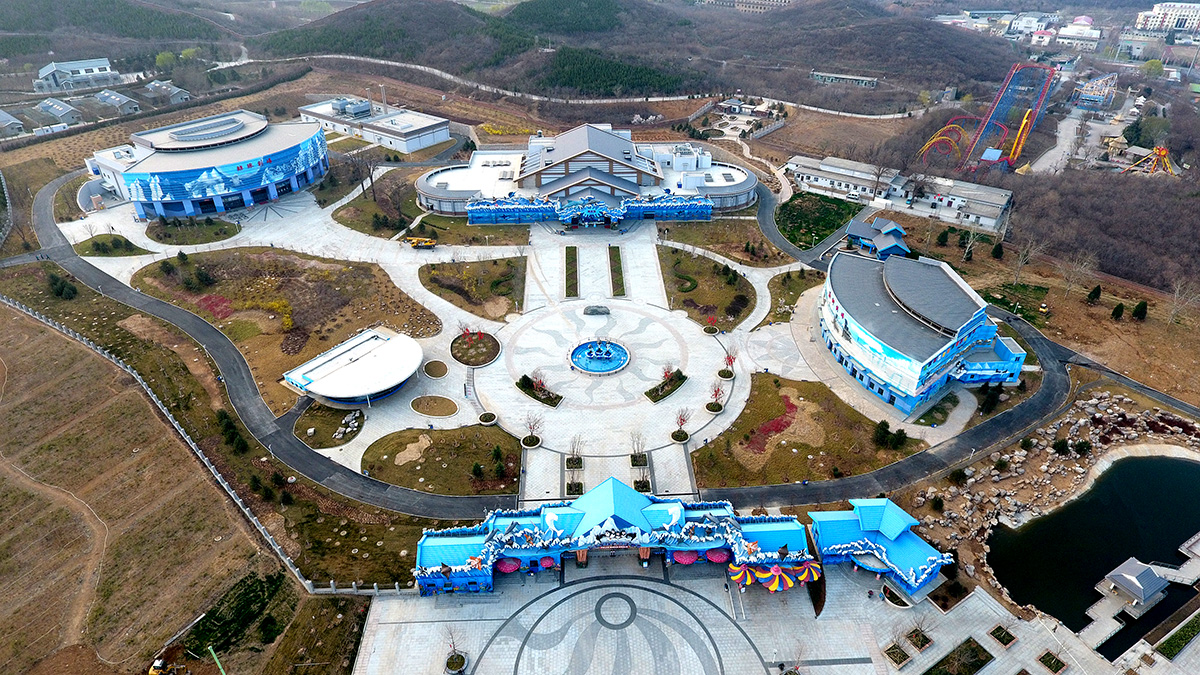 问鼎国际(中国区) - 官方网站